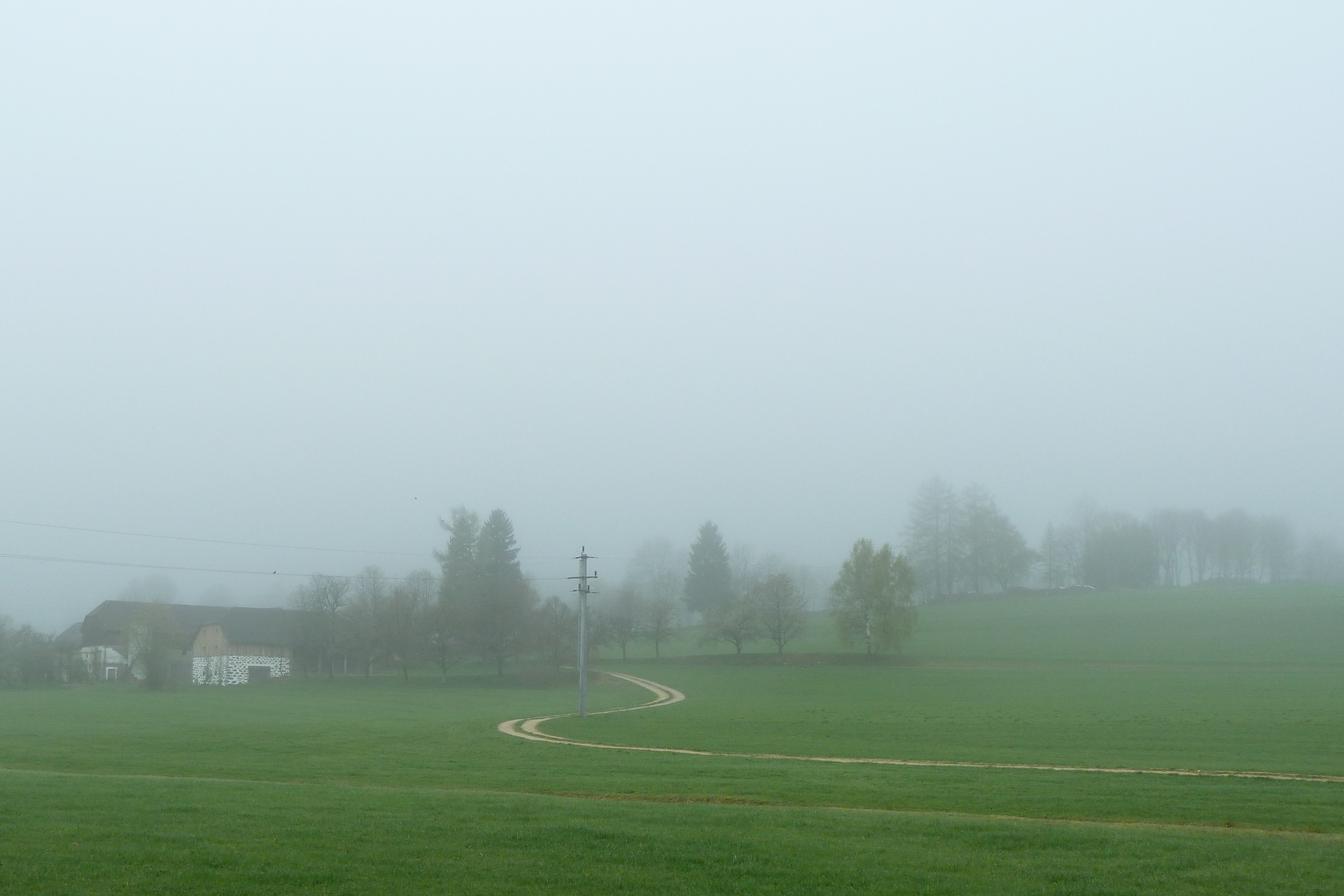 Abfahrt im Nebel